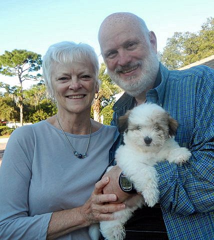 florida coton de tulear puppies, puppy, dogs, cotons, coton breeders, forever families, cute, florida cotons, cotons of downing street